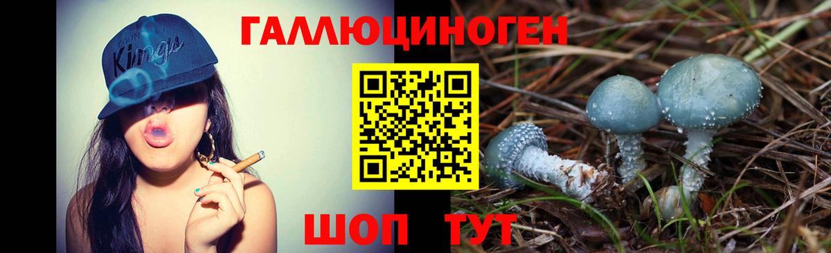 Псилоцибиновые грибы MAGIC MUSHROOMS  наркотики  Сухой Лог  Псилоцибиновые грибы мухоморы  Вход с VPN 